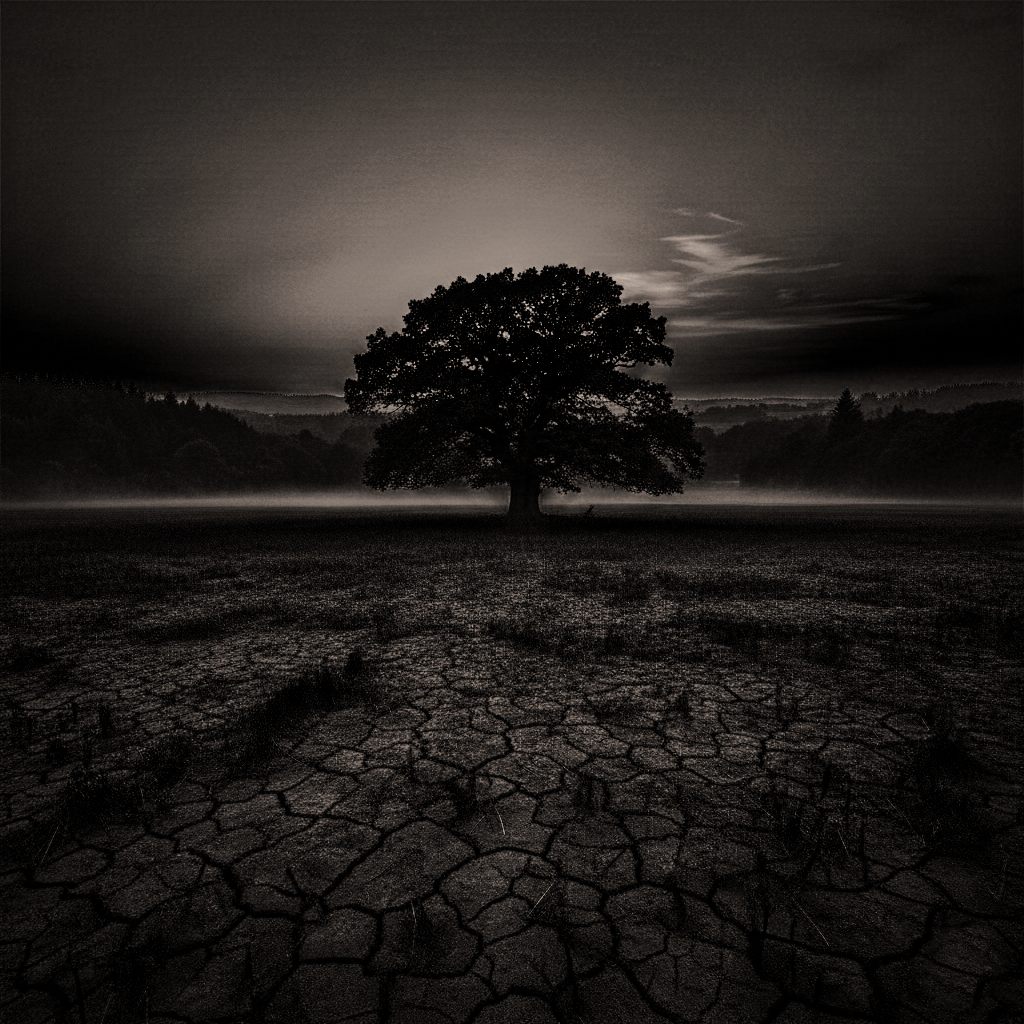 Arbre solitaire dans une plaine sous un ciel sombre, en noir et blanc