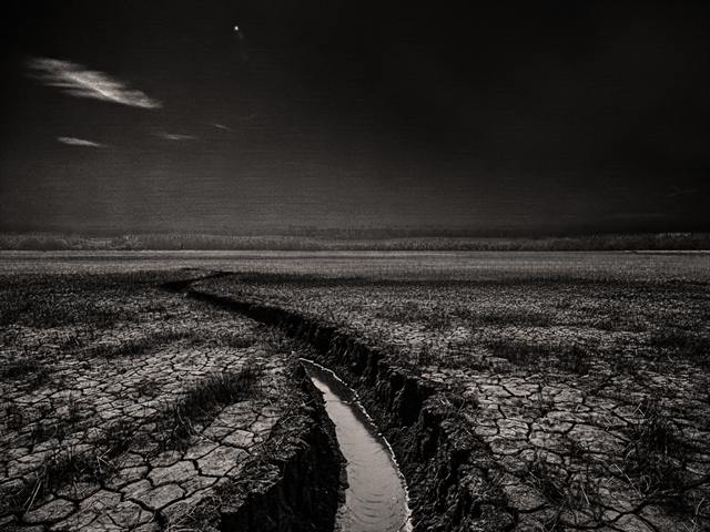 Série Still life — Landscape — image 1 sur 28