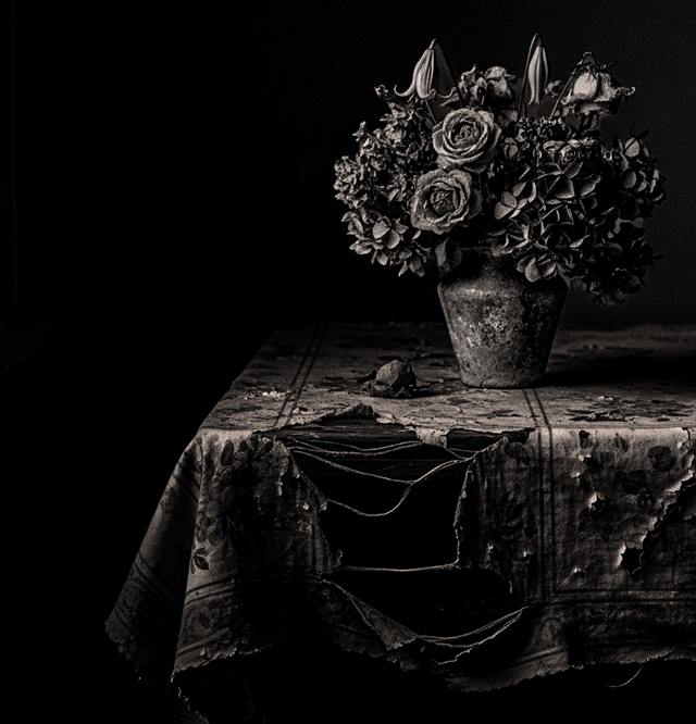 Série Still life — Landscape — image 16 sur 28