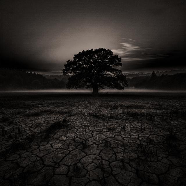 Série Still life — Landscape — image 22 sur 28