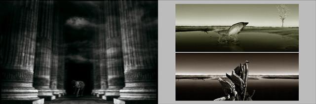 Série Works — Exhibitions — image 24 sur 110