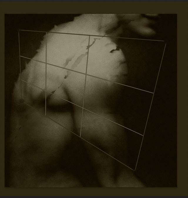 Série Works — Exhibitions — image 40 sur 110
