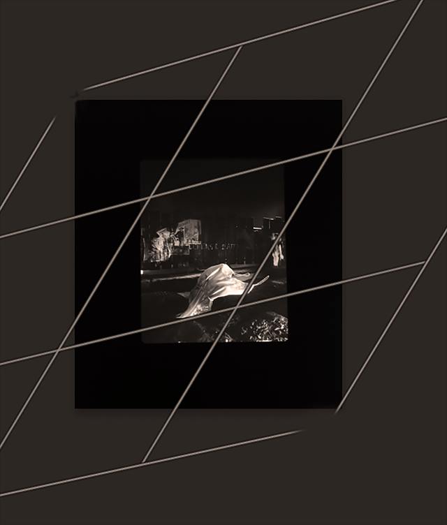 Série Works — Exhibitions — image 48 sur 110